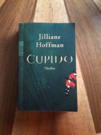spannende thriller empfehlung jillian hoffman